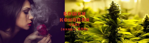 спайс Магас
