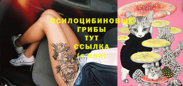 соль ск Майский
